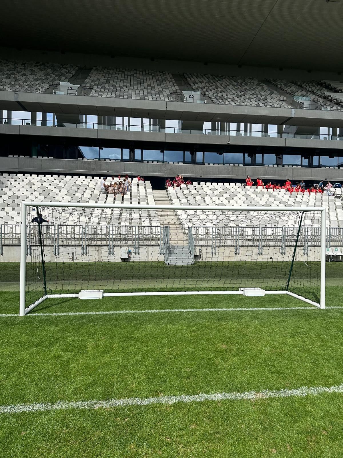 Gazon Stade Matmut Atlantique